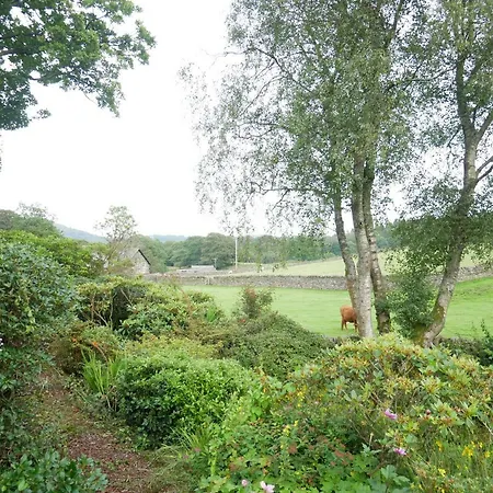 Karenwood